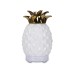Pineapple Ceramic Aroma Diffuser-H059