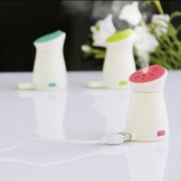 Mini USB Penguin Humidifier for Car, Beauty Salon, Skin Care, etc.