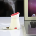 Mini USB Penguin Humidifier for Car, Beauty Salon, Skin Care, etc.