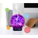 Essential Oil Diffuser - 3D Glass 100ml Ultrasonic Aromatherapy Oil Humidifier With Amazing LED Lights and Auto Shut-Off Function 